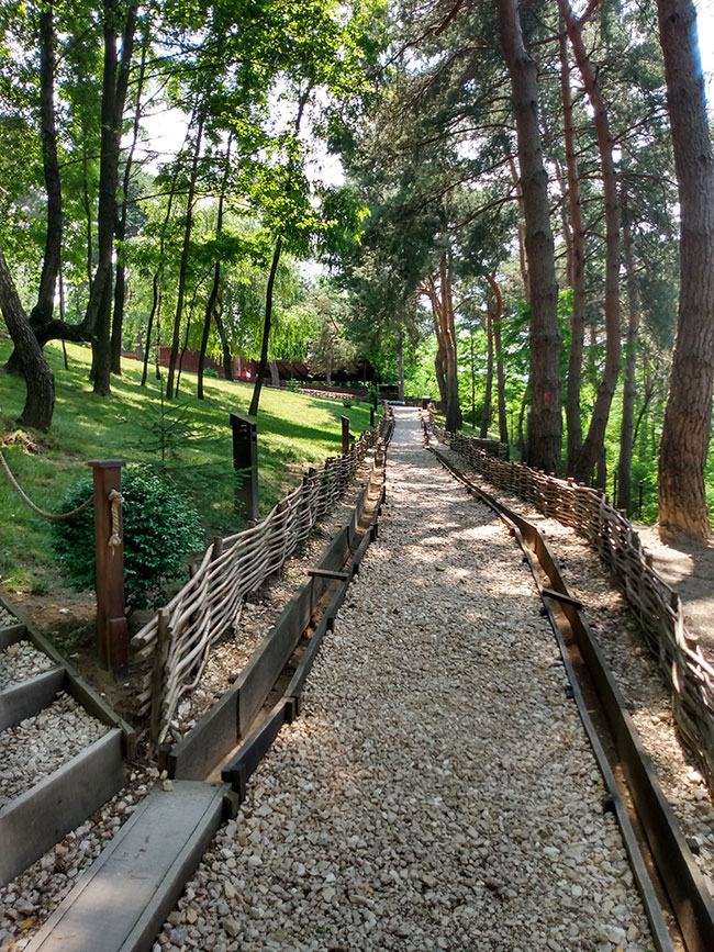 Weg im Klostergarten