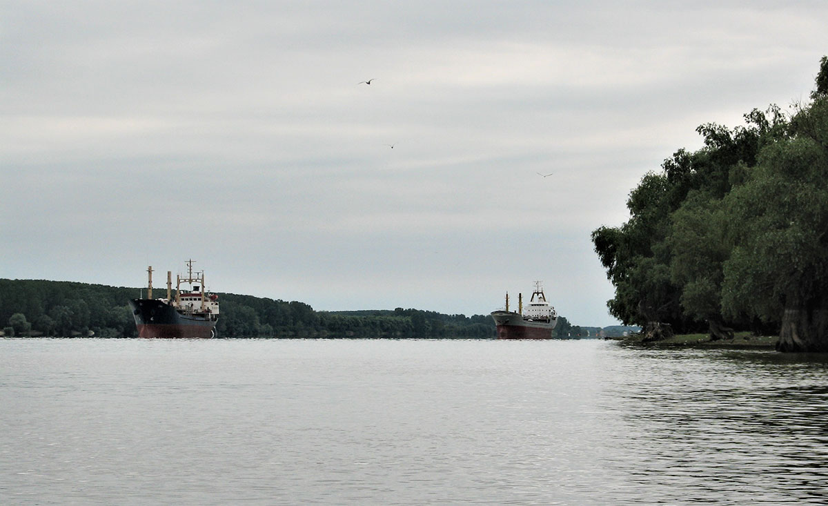 zwei Hochseeschiffe fahren auf der Donau