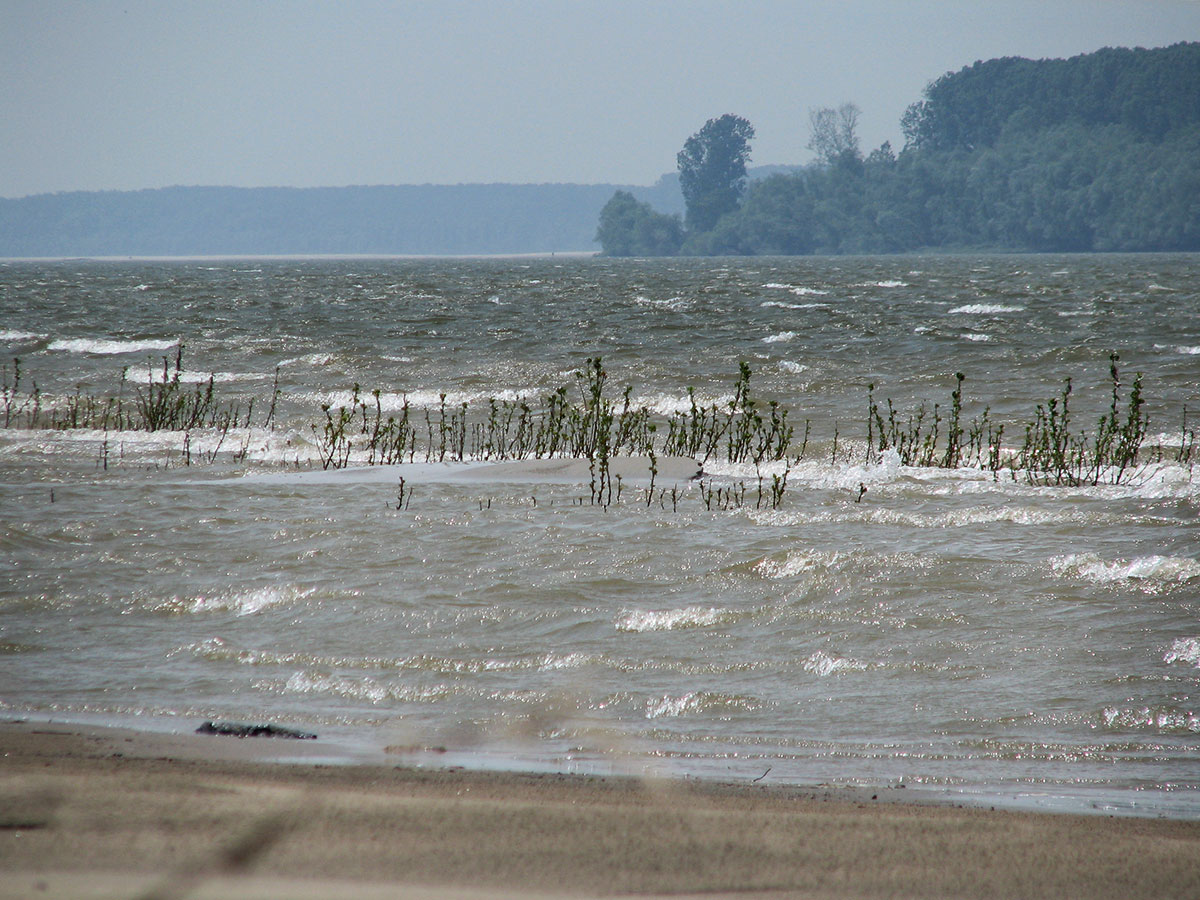 Donau mit leichtem Wellengang