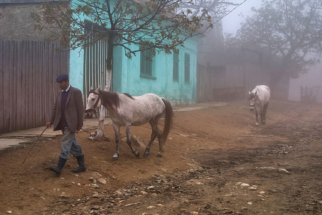 Mann mit Pferden im Nebel auf Dorfstraße