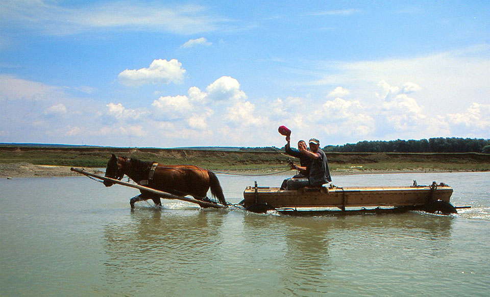 Pferdefuhrwerk fährt durch den Fluss