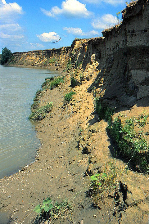 Flusslandschaft