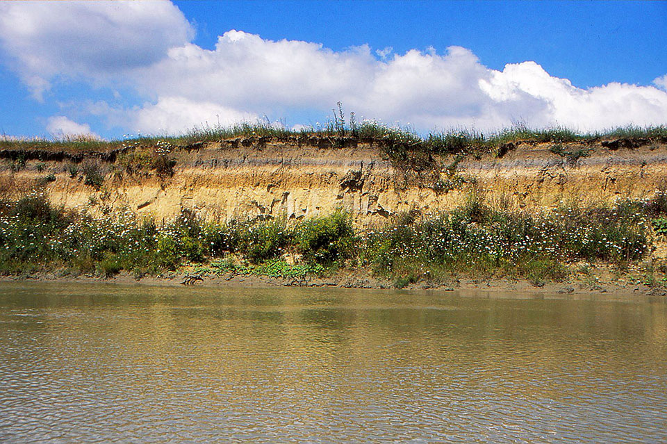 Fluss Siret mit Böschung