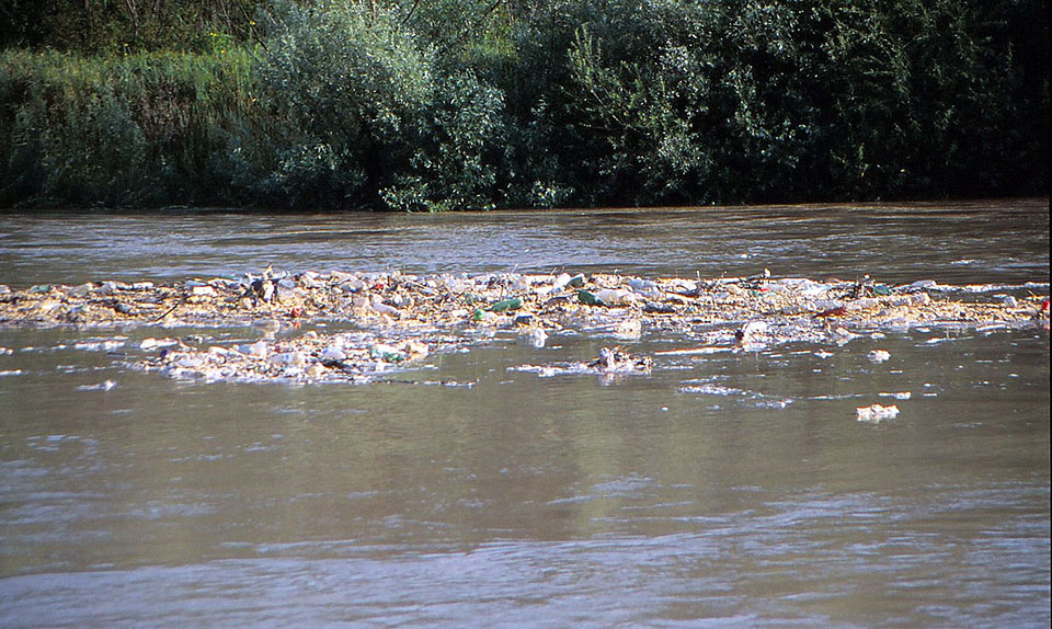 Müll im Wasser treibend