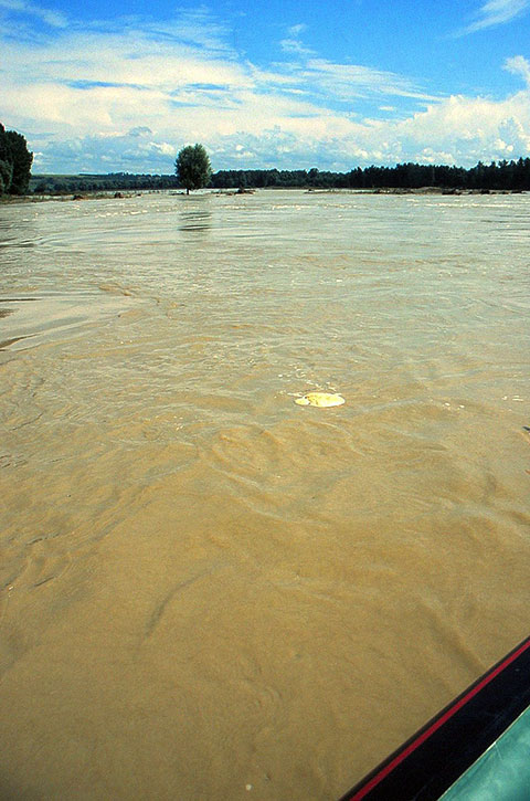 aufgewühlter Fluss