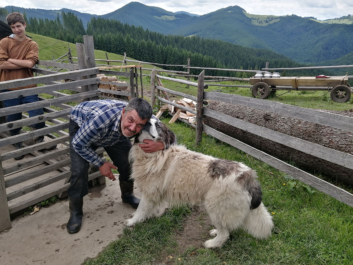 Hirte spielt mit seinem Hund