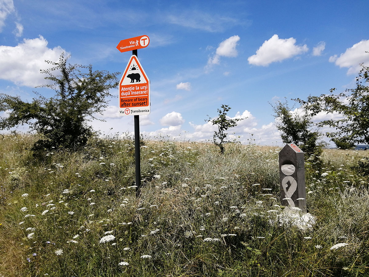 Bärenwarnschild mit Stele und Wiese