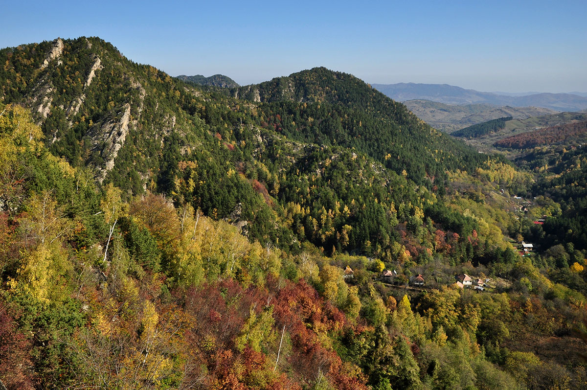 bewaldeter Bergkette mit einem Dorf im Tal