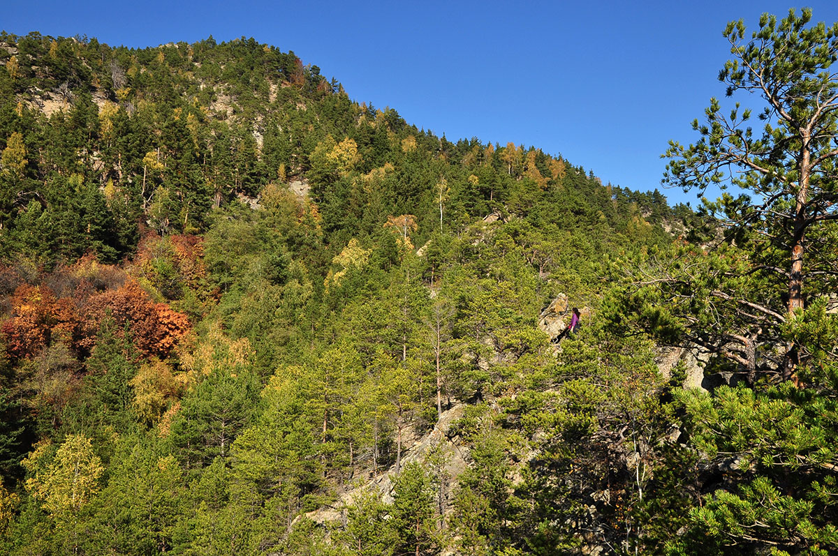 Frau steht zwischen bewaldeten Bergfelsen