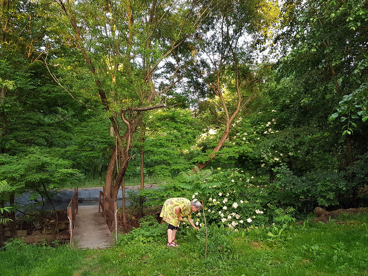 Frau pflückt im Garten Blumen