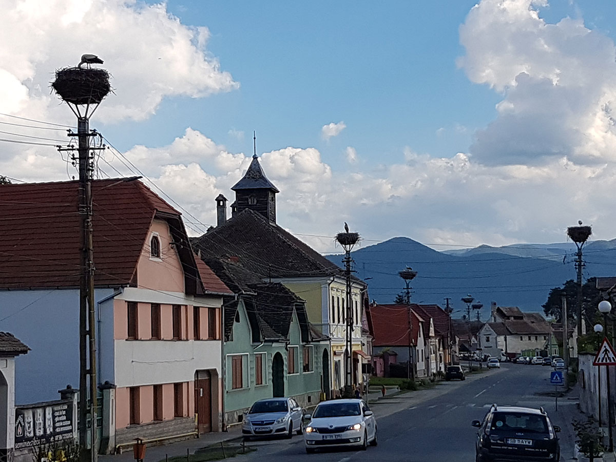 Dorfstraße mit sechs Storchenestern auf Strommasten und Berge im Hintergrund