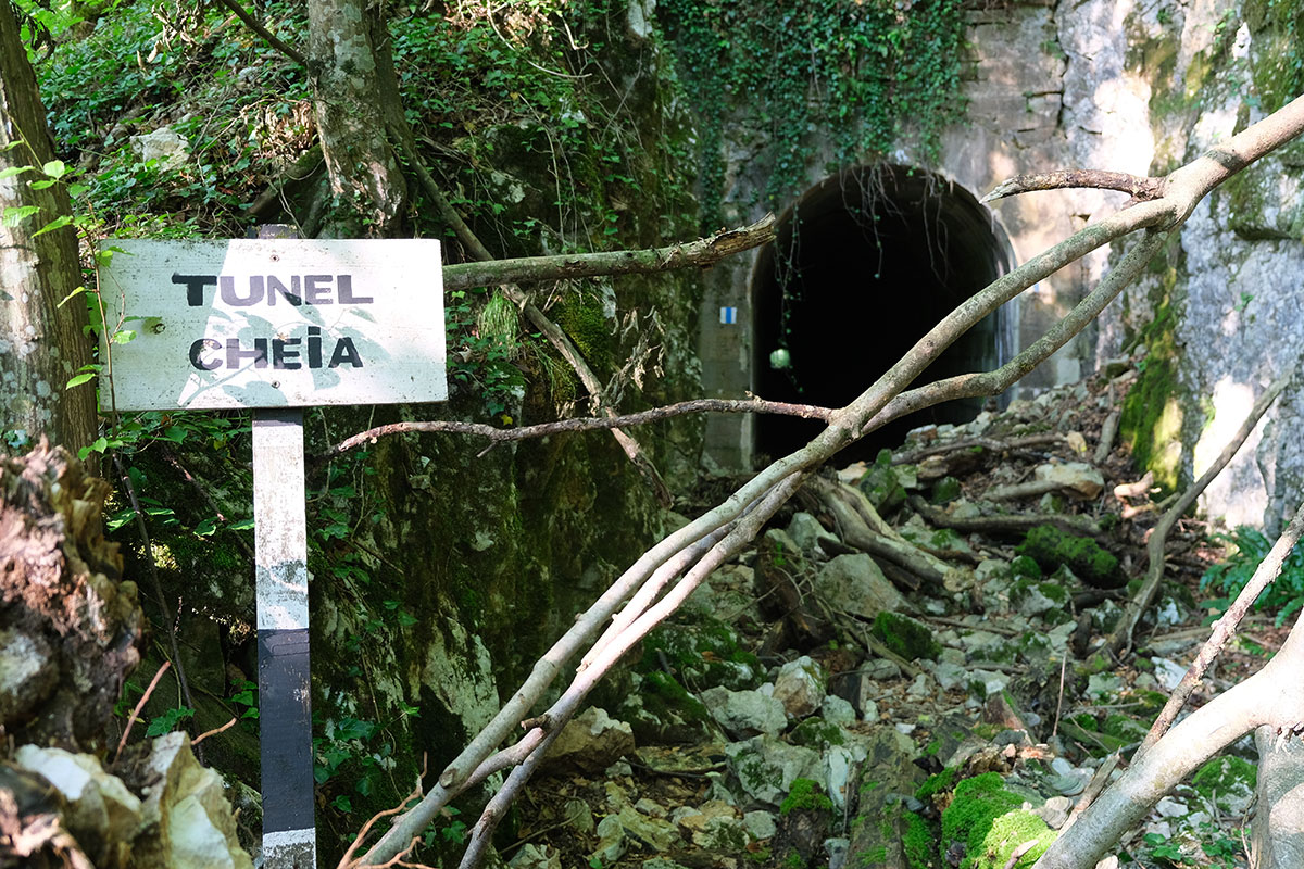 Tunneleingang mit Steinen und Bäumen davor auf dem Weg