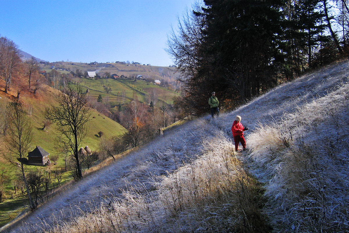 Berglandschaft mit Rauhreif im Schatten