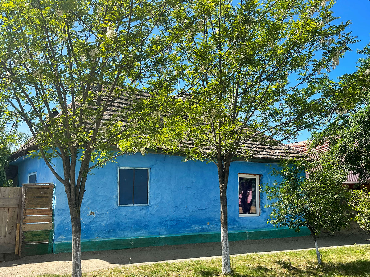 blaues Haus