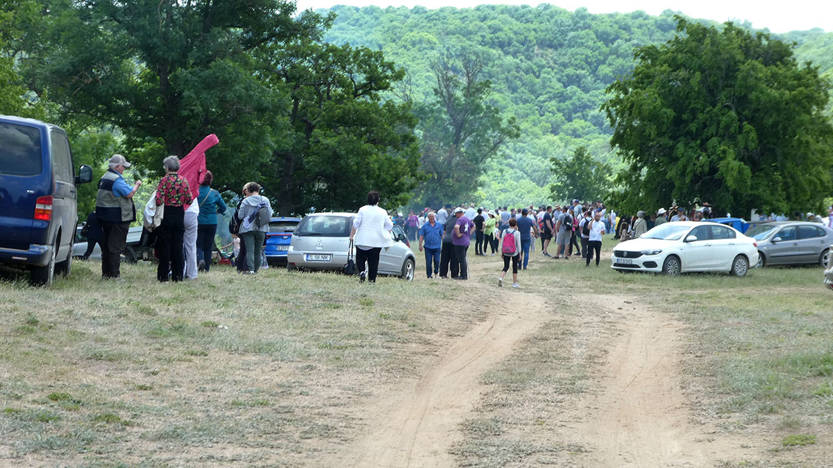 Menschen stehen auf einer Wiese