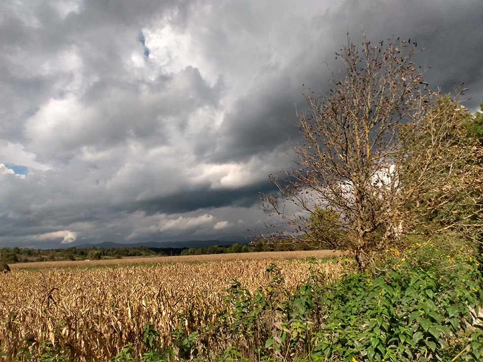 dunkle Wolken über Feld