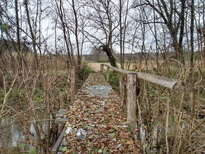 Holzbrücke