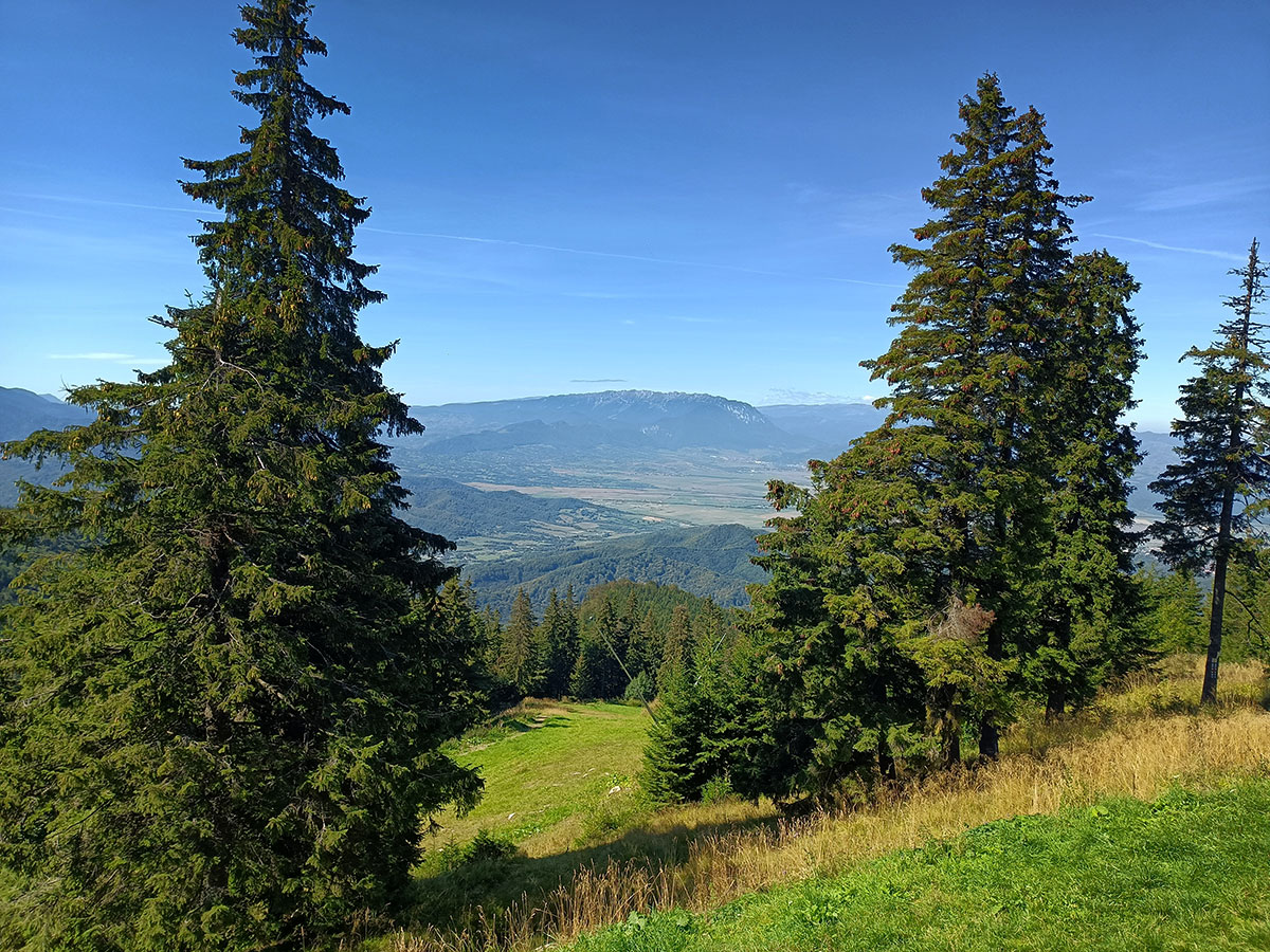 Berglandschaft