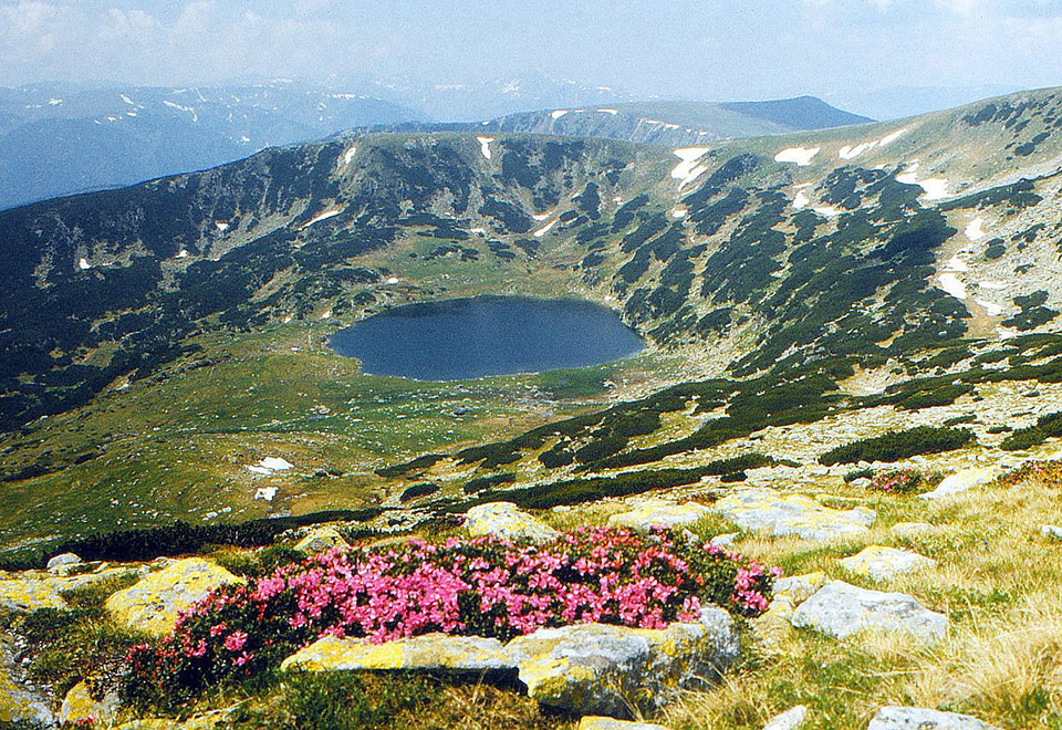 Bergsee