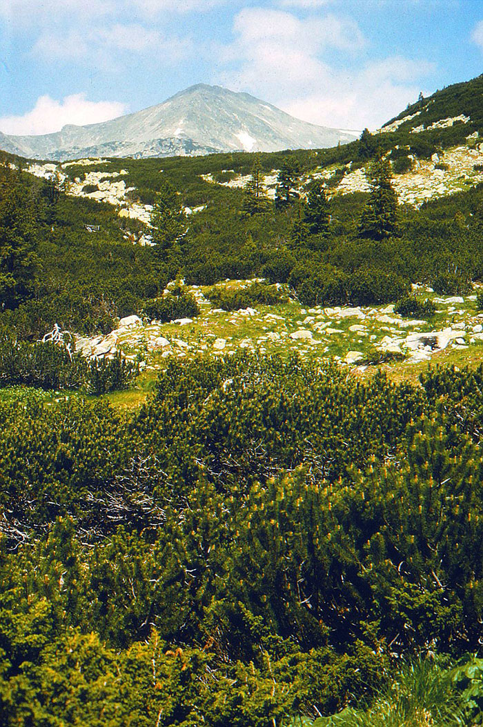 Berglandschaft