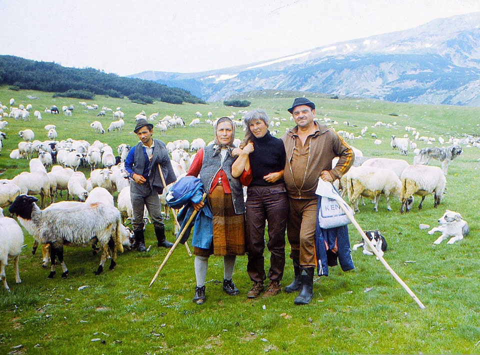 Hirten mit Schafherde