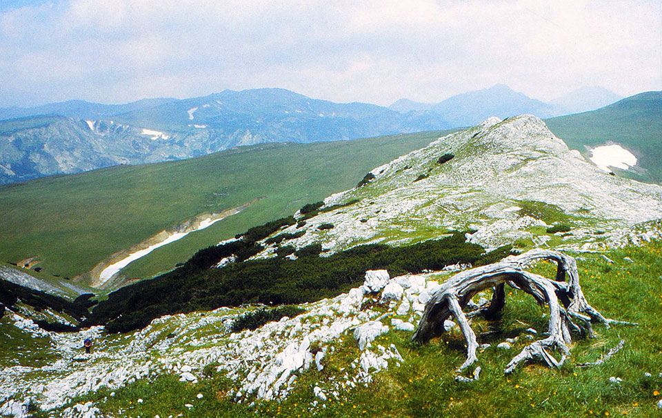 Berglandschaft