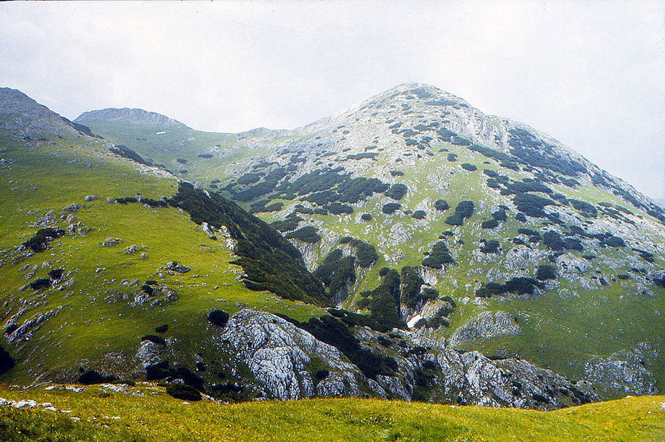 Berglandschaft