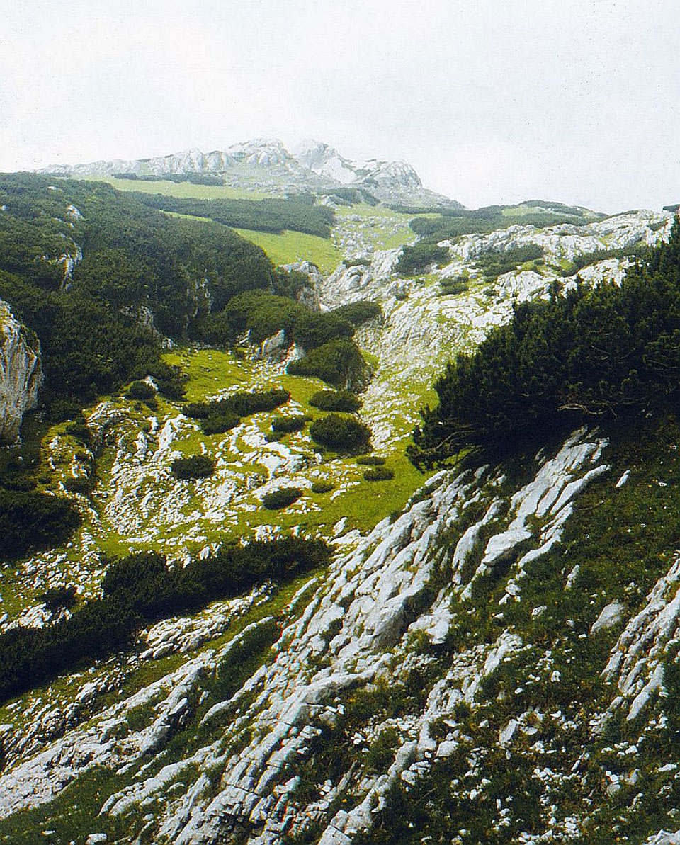 Berglandschaft