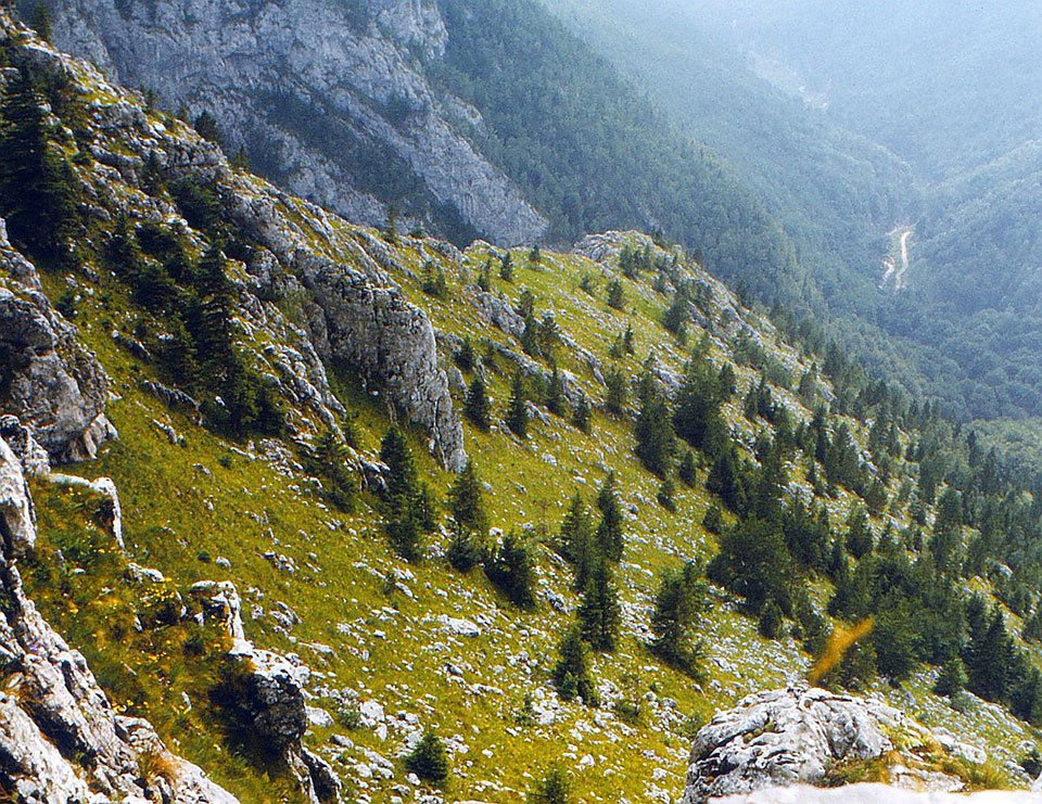 Berglandschaft