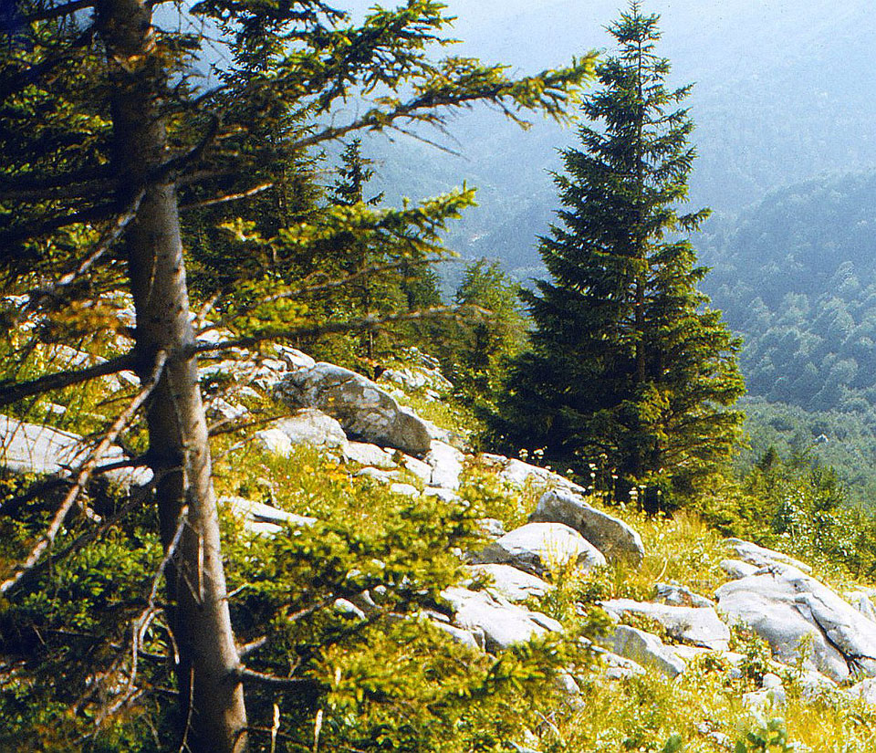 Berglandschaft