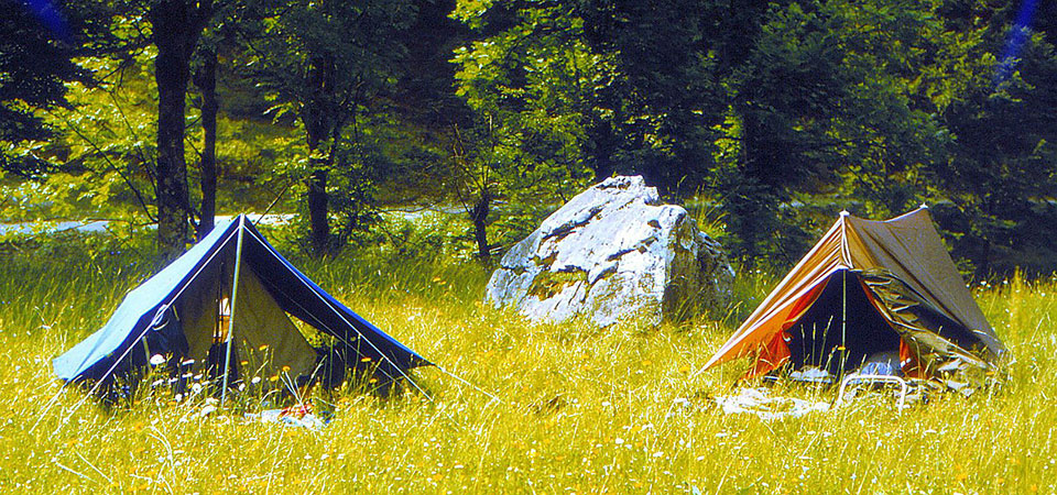 Zelte auf einer Wiese