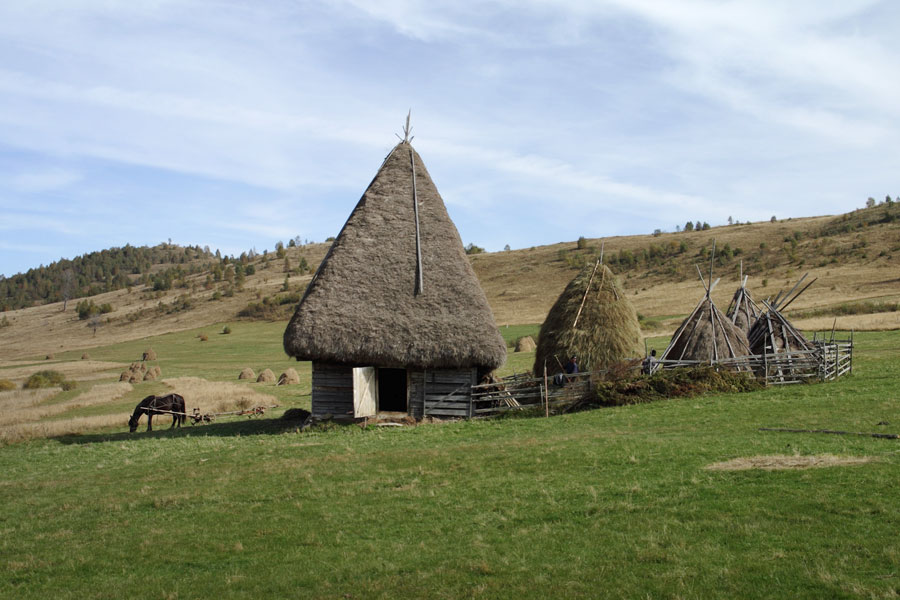 Weide mit Haus und Pferd