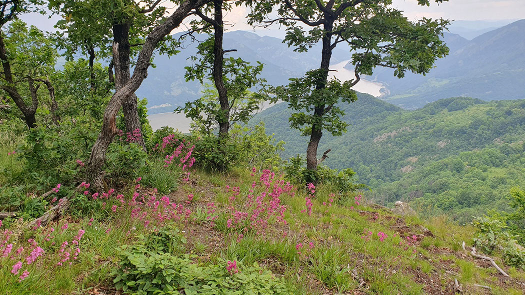 Berglandschaft mit Donau