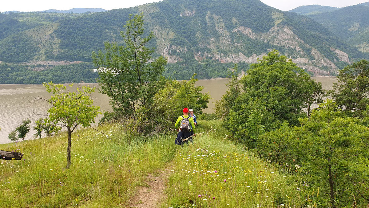 Berglandschaft mit Donau