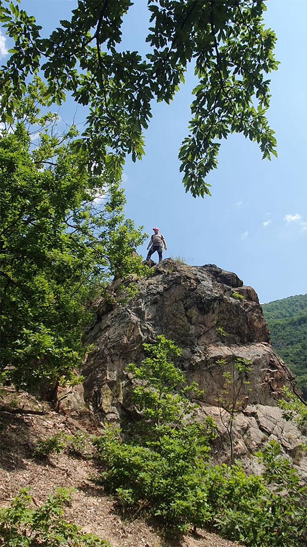 Felsen