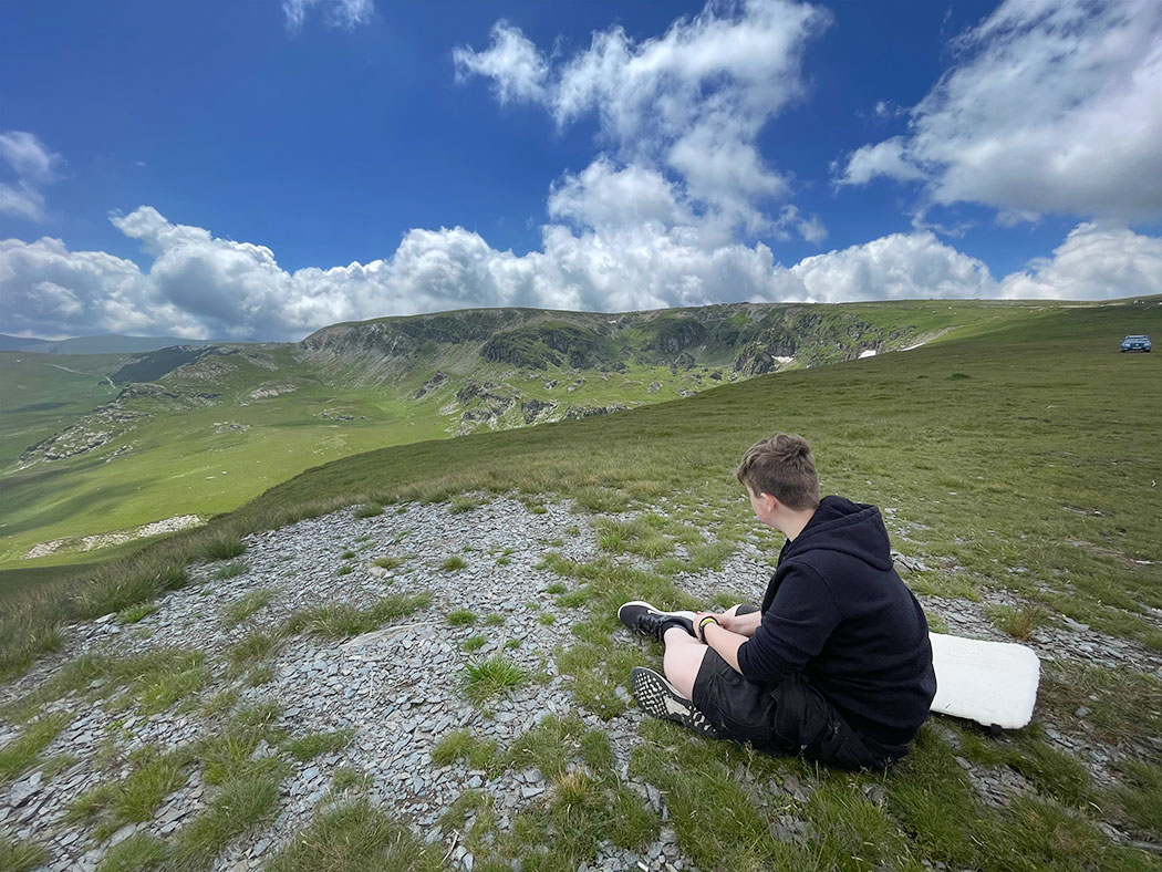 Bela auf einer Bergwiese sitzend