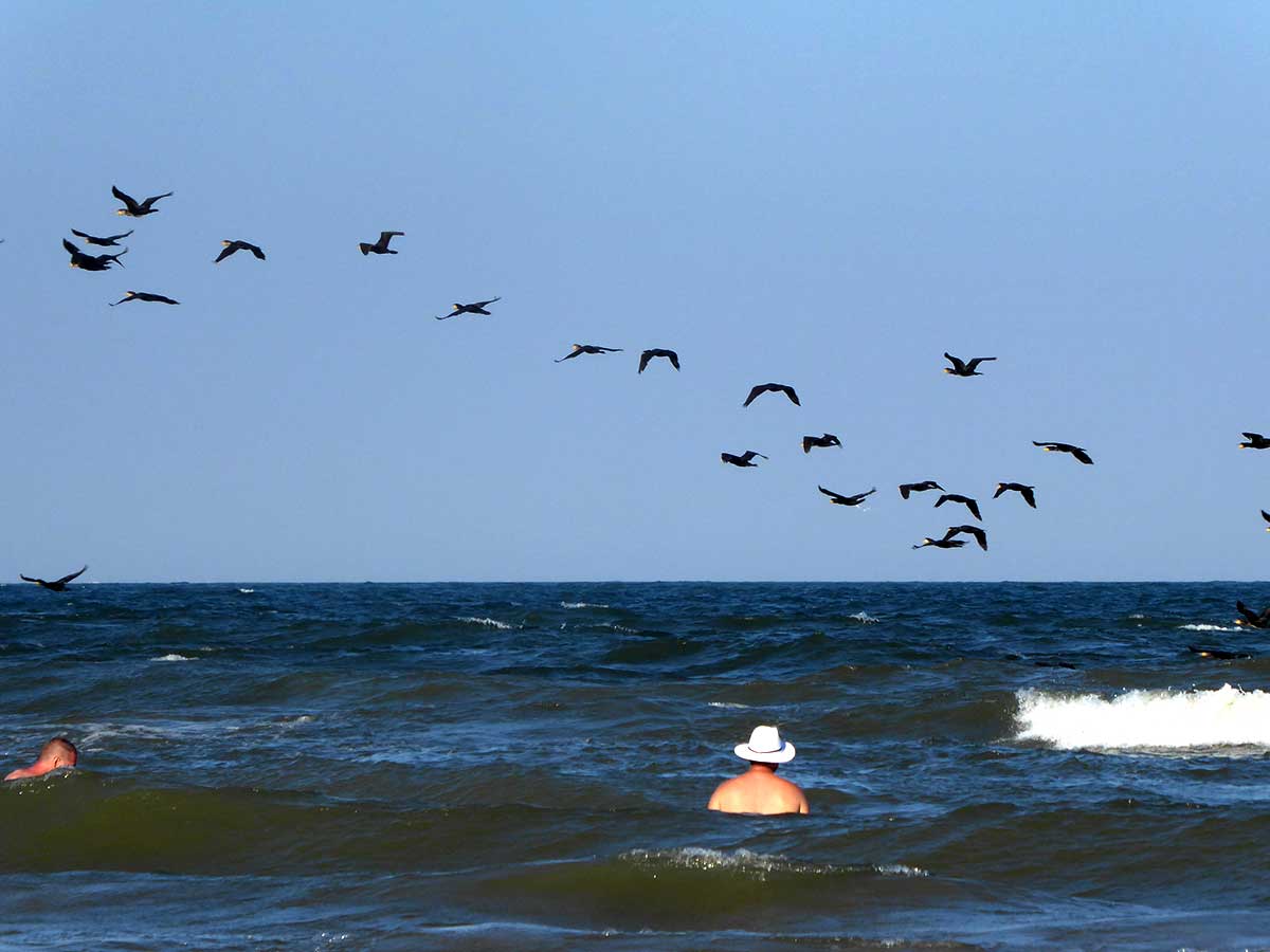 Menschen baden im Meer