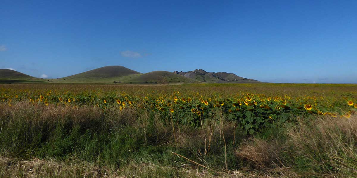 Landschaft