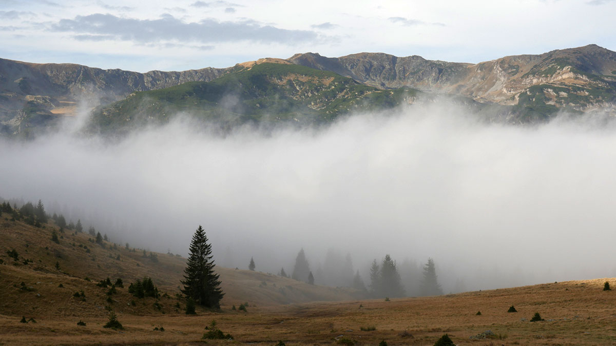 Berglandschaft mit Nebel im Tal