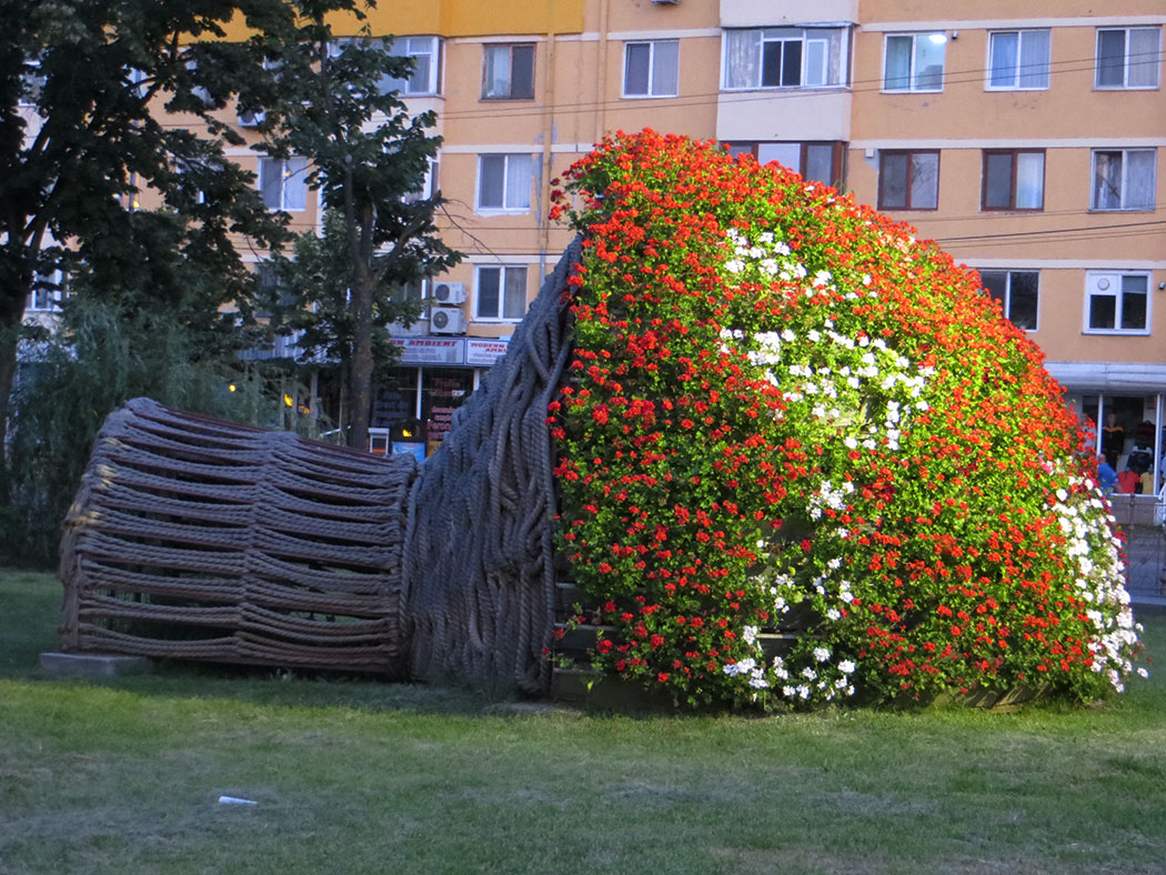 Planzen am Stra0enrand