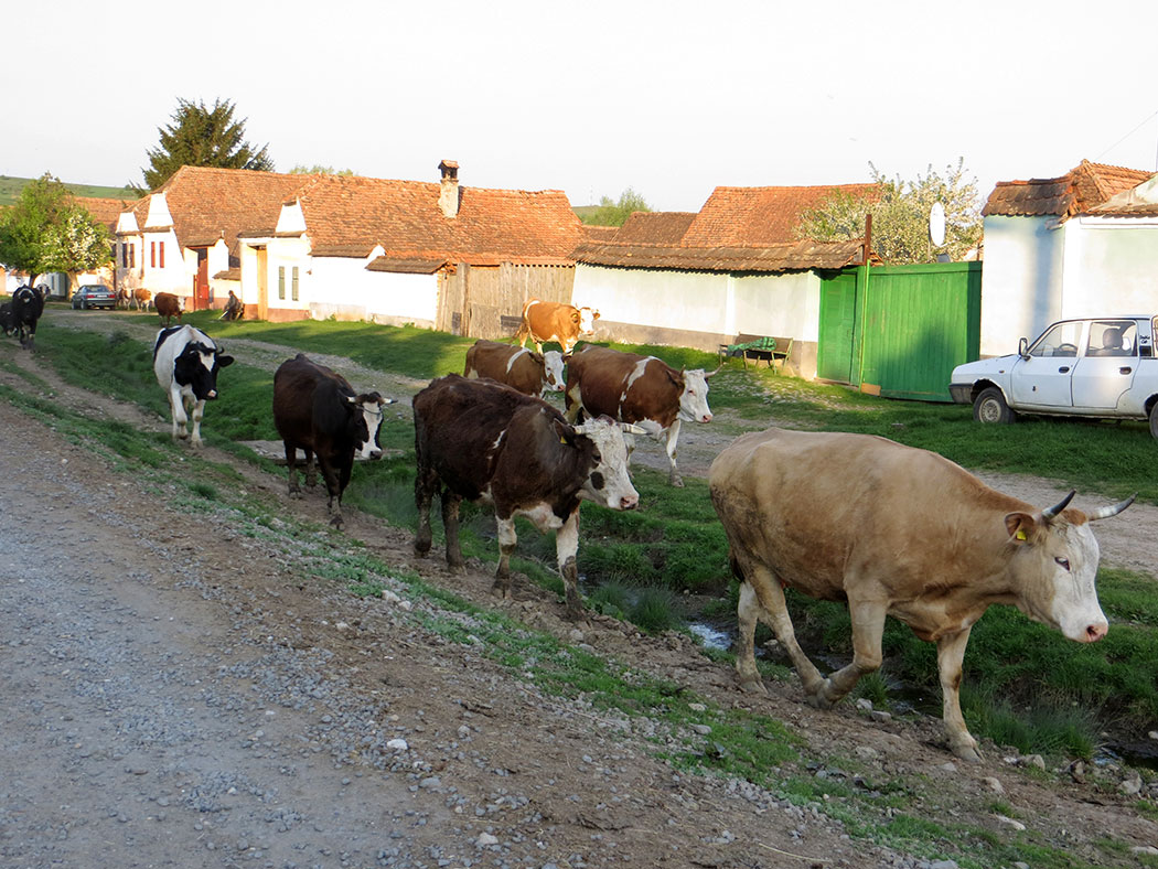Dorfstraße