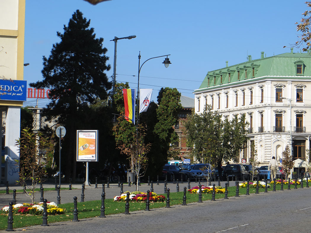 Blumenrabbaten am Straßenrand
