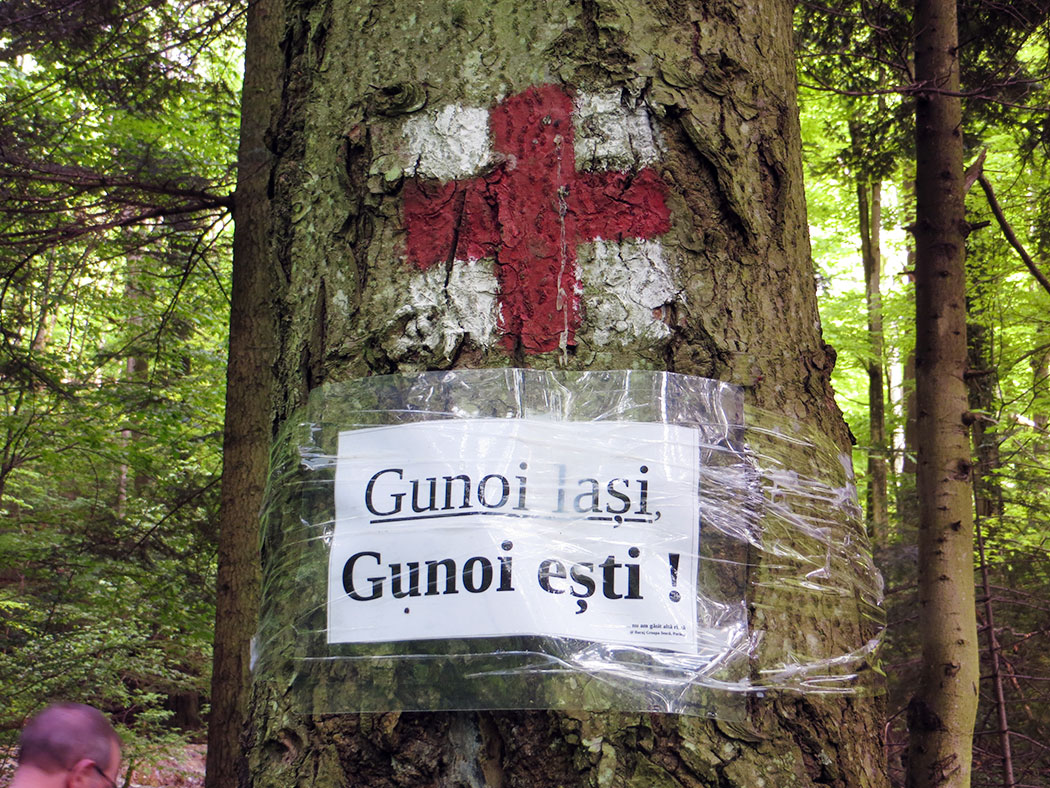 Baum mit Schild