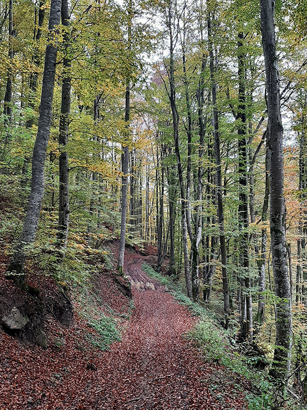 Wanderweg