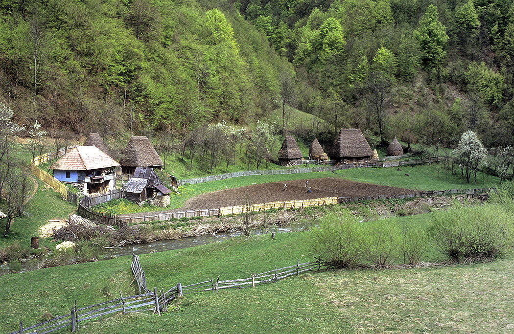 Motzenhaussiedlung mit Feld