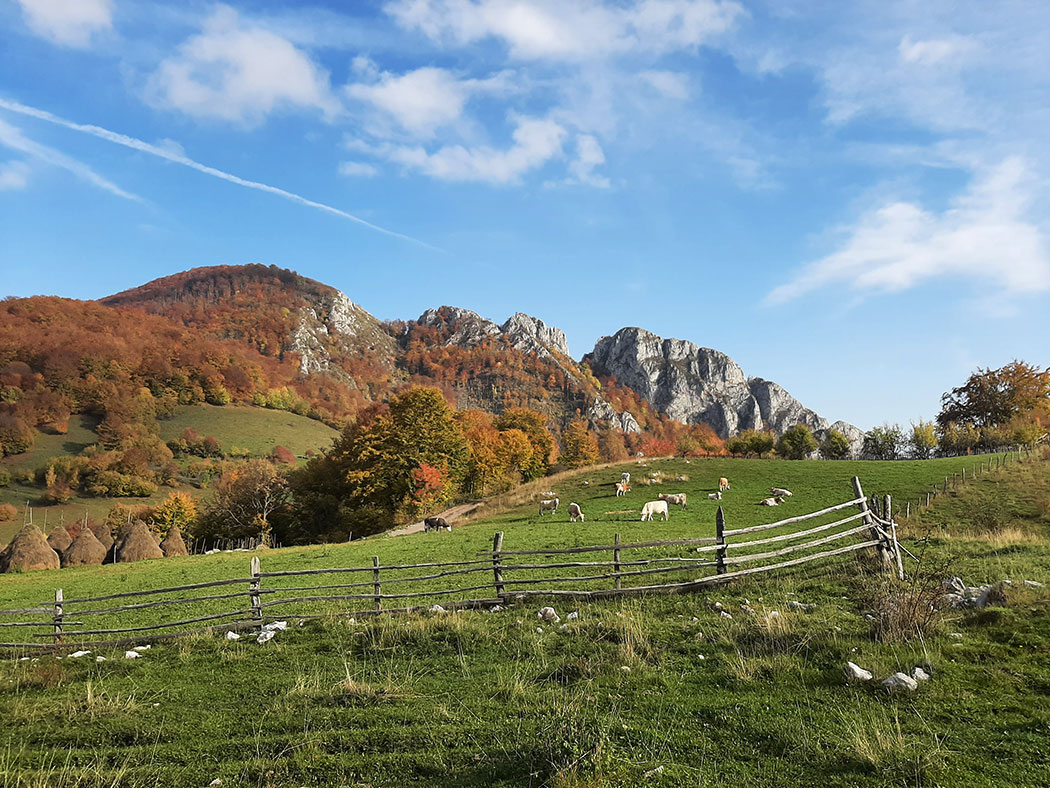 herbstliche Berglandschaft