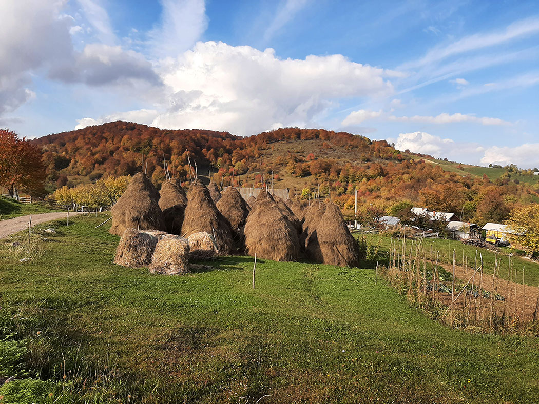 herbstliche Berglandschaft
