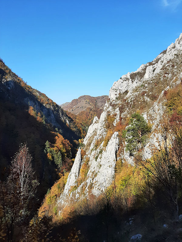 herbstliche Berglandschaft