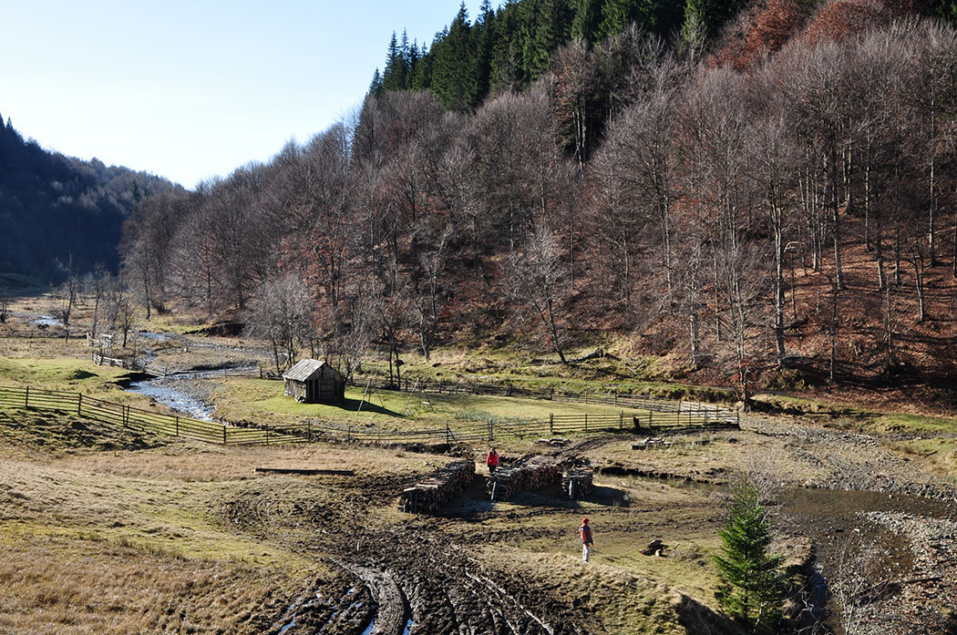 Berglandschaft