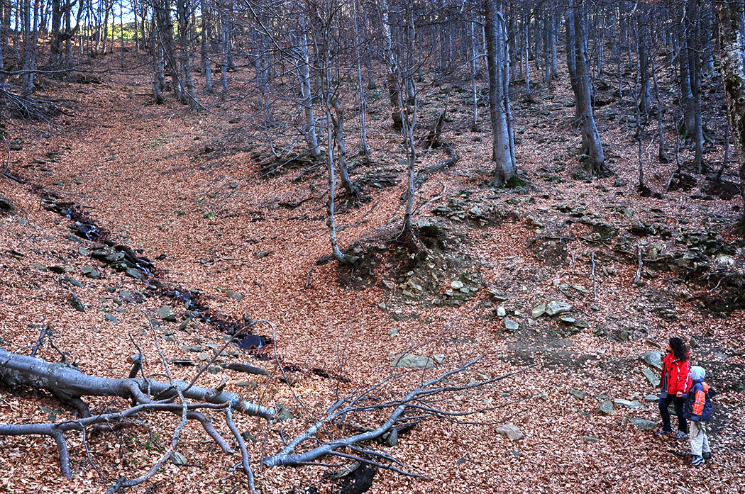 Berglandschaft
